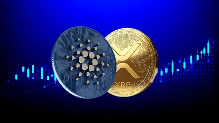 ابهام در آینده ETFهای کاردانو و XRP؛ بازار در انتظار واکنش SEC