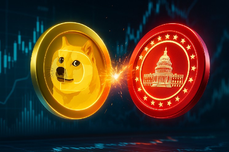 سیگنال‌های صعودی در بازار Dogecoin؛ نهنگ‌ها در حال جمع‌آوری میلیون‌ها سکه