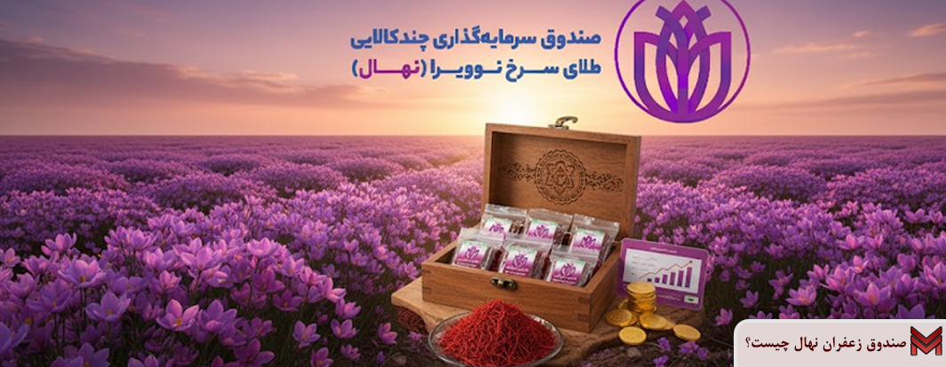صندوق زعفران نهال چیست؟