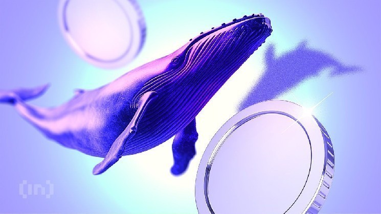 نهنگ‌های کریپتو بازگشتند: بازار ارزهای دیجیتال شاهد نوسانات شدید