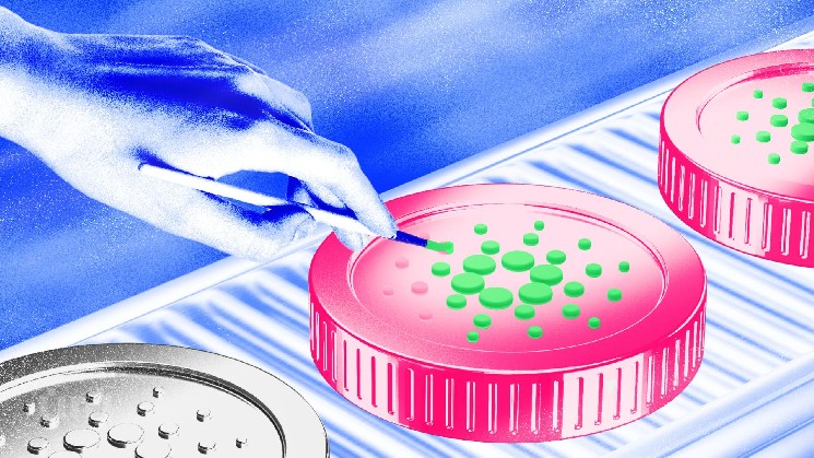 نهنگ‌ها در حال انباشته کردن ADA؛ کاهش فعالیت سکه ممکن است به افزایش قیمت کمک کند