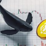 نهنگ بایننس کوین 10.7 میلیون دلار از دارایی خود را فروخت؛ فشار فروش افزایش یافت