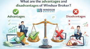 بروکر ویندزور چه مزایا و معایبی دارد؟