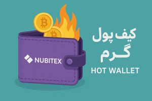 کیف پول گرم نوبیتکس چیست؟