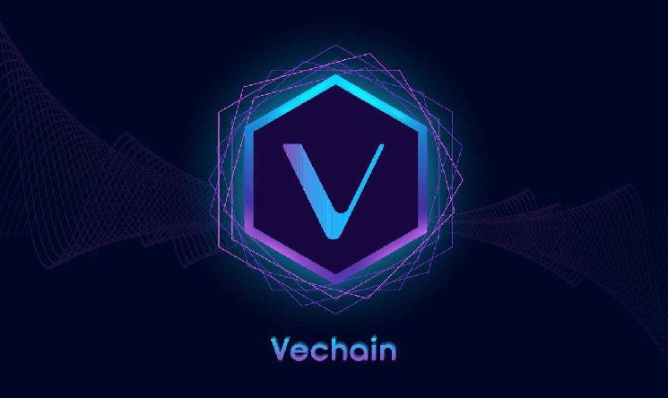 شکست واگذاری VeChain؛ معامله‌گران به تأیید حمایت کلیدی چشم دوختند