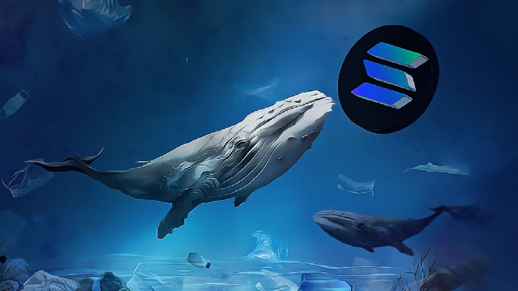 رشد انفجاری ربات‌های حجمی در سولانا؛ رقابت توکن‌ها در ۲۰۲۶ به اوج رسید